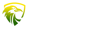 Raven Eye Engineering Ltd.